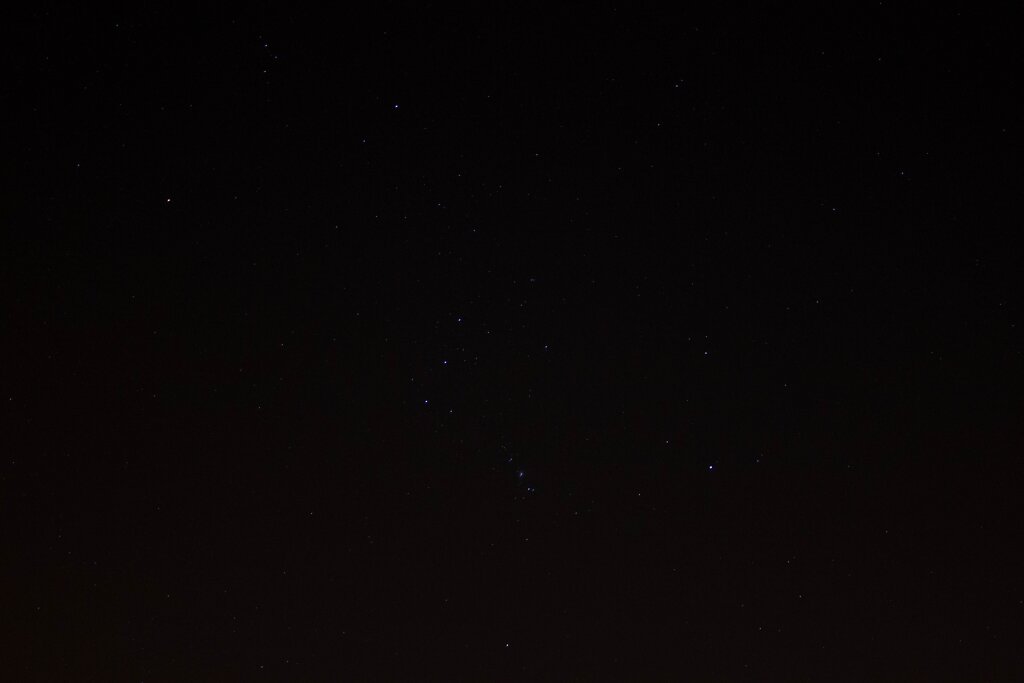 Orion