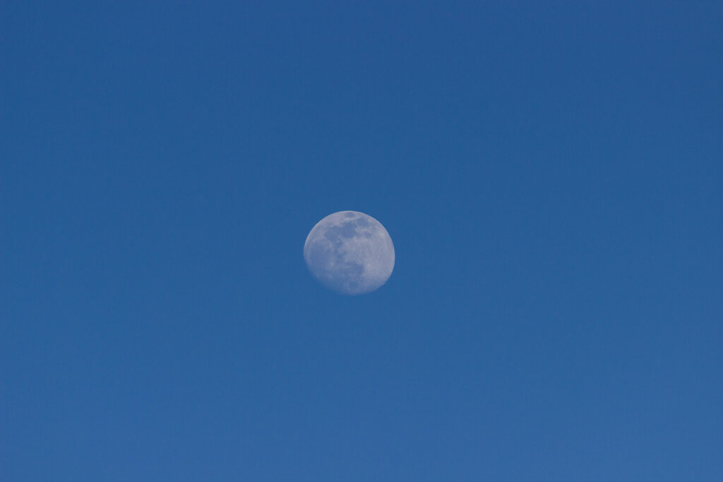 Gibbous moon