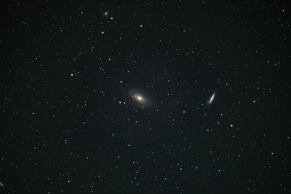 M81